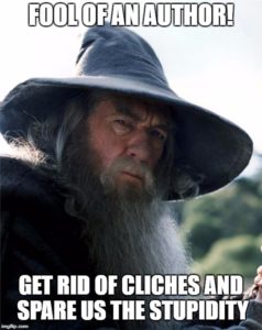 Gandalf Fool of an Author Meme