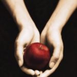 Twilight, Stephanie Meyer
